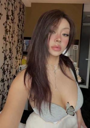 可愛い猫（かわいいねこ）