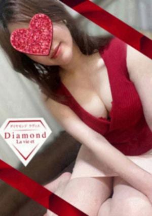 ダイヤモンドラヴィエ〜La vie et〜蒲田・大井町ルーム