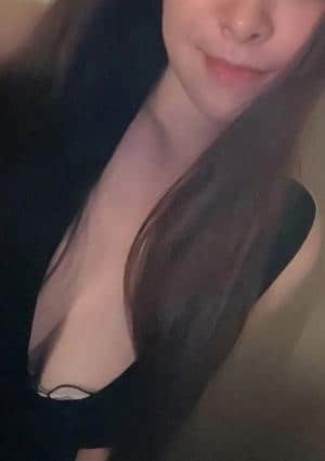 Theory(セオリー)