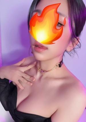 猫ちゃんの日記