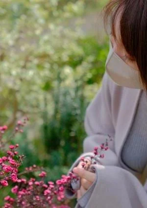 Lapisiaの店舗画像