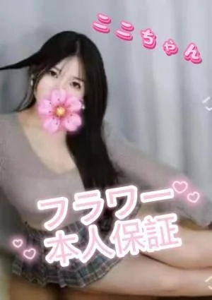 新人：ここちゃん