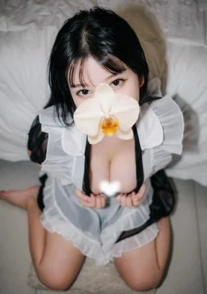 Timor（ティモール）