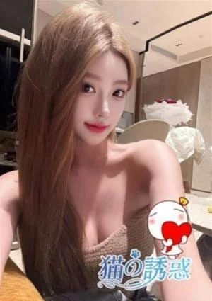 猫の誘惑の店舗画像