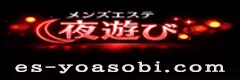 全国メンズエステ夜遊び 240x80